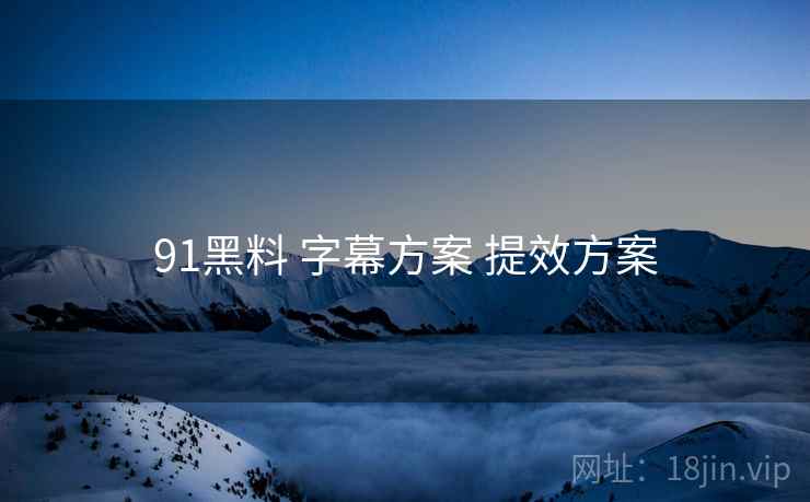 91黑料 字幕方案 提效方案
