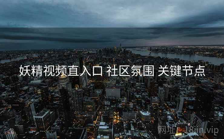 妖精视频直入口 社区氛围 关键节点