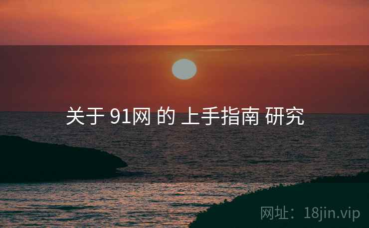 关于 91网 的 上手指南 研究