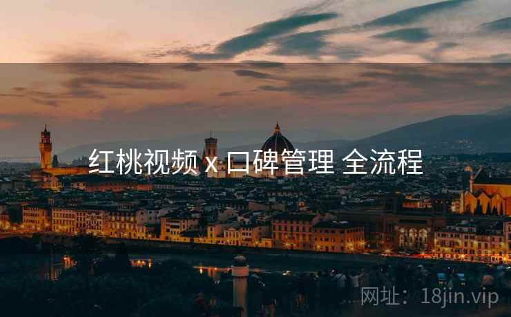 红桃视频 x 口碑管理 全流程