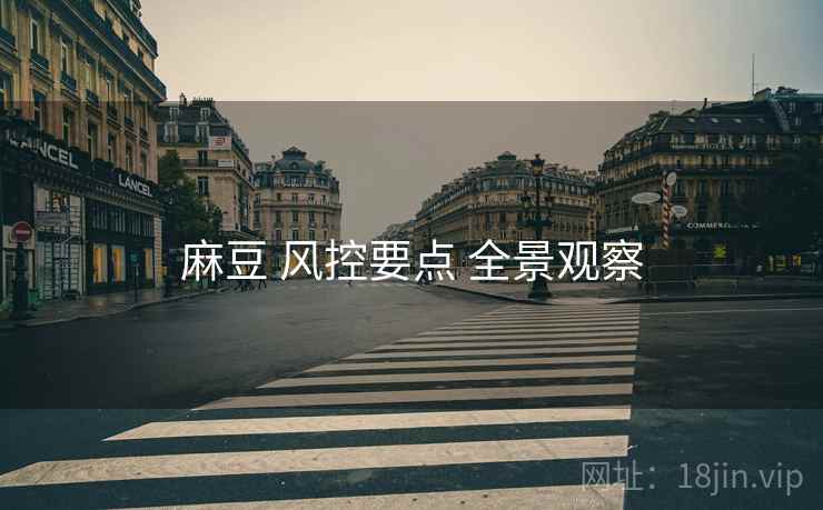 麻豆 风控要点 全景观察