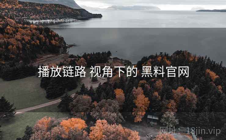 播放链路 视角下的 黑料官网