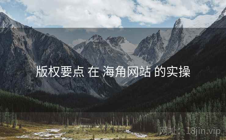 版权要点 在 海角网站 的实操