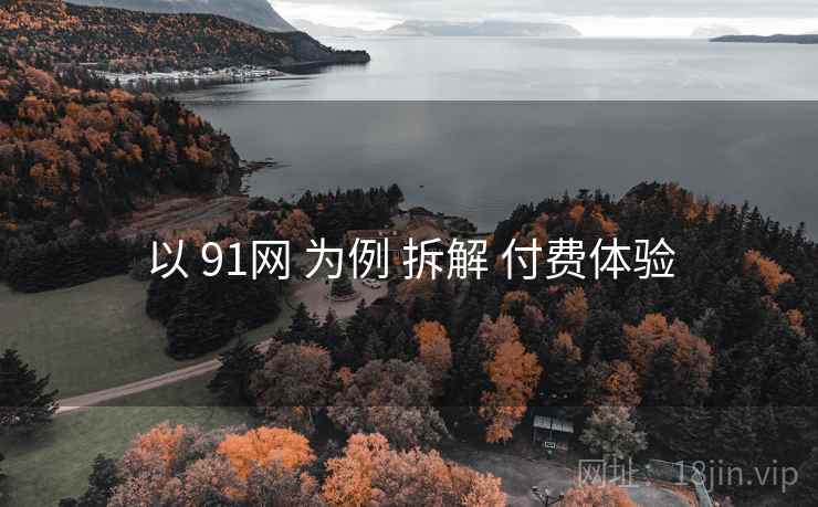 以 91网 为例 拆解 付费体验