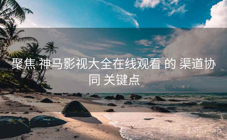 聚焦 神马影视大全在线观看 的 渠道协同 关键点