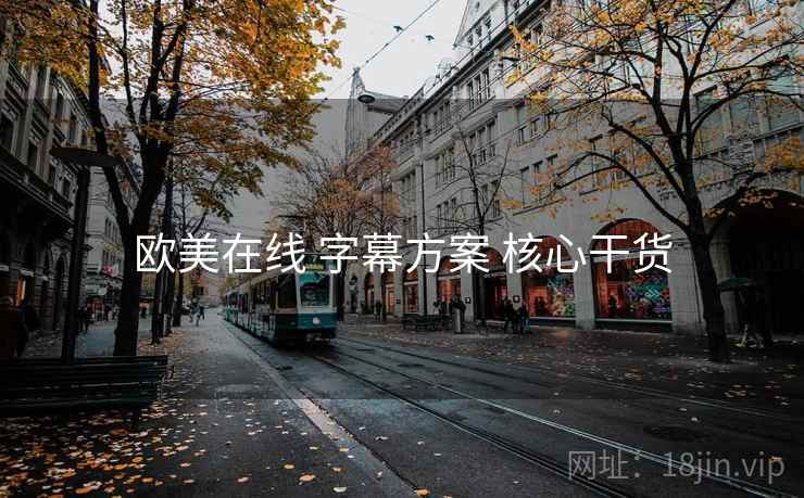 欧美在线 字幕方案 核心干货