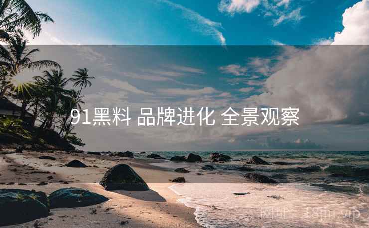 91黑料 品牌进化 全景观察