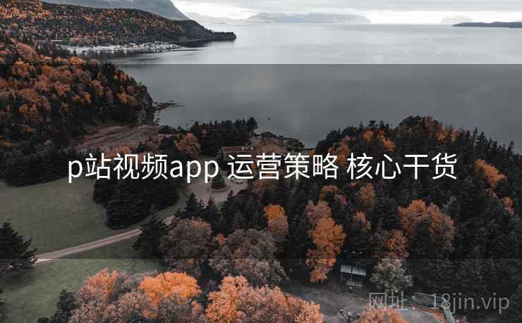 p站视频app 运营策略 核心干货